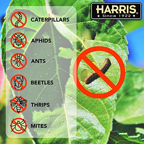 Harris Garden Insect Killer, 20oz Insecticidal Soap with Spinosad Kills Aphids, Beetles, Caterpillars, Thrips and More