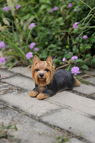 Hi-Line Gift Ltd Yorkshire Terrier Resin Dog Lying Down Statue