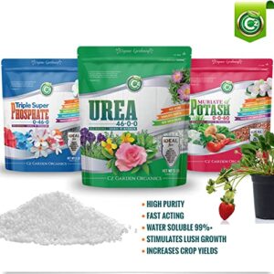 Urea Fertilizer 46-0-0 Made in USA Plant Food for Indoor/Outdoor Flowers & Organic Gardens - Promotes Lush Growth - Lettuce, Green Lawns, Fruit, Vegetables, Citrus Trees, Tie Dye Granules Prills 5LB