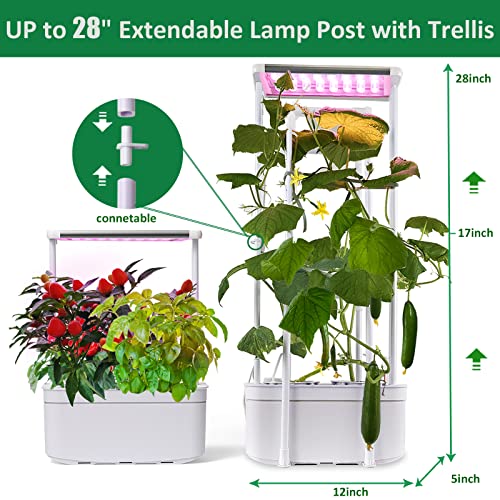 eSuperegrow Hydroponics Growing System,Smart Hydroponic Gardening System with LED Grow Light,Indoor Garden Hydroponic Herb Grow Kit with Climbing Trellis for Short Tomato,Basil,Pepper,Cucumber