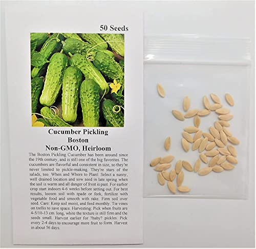 David's Garden Seeds Cucumber Pickling Boston FBA-0002 (Green) 50 Non-GMO, Heirloom Seeds