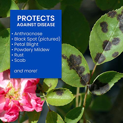 BioAdvanced 3-in-1 Insect Disease and Mite Control I, Ready-to-Spray, 32 oz