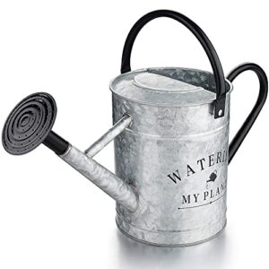 garutom galvanized watering can for outdoor plants, 1 gallon decorative countryside style watering can with removable spout, perfect metal watering can for indoor plants and garden flower