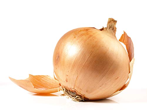 Walla Walla Sweet Spanish Onion Seeds for Planting, 300+ Seeds Per Packet, (Isla's Garden Seeds), Non GMO Seeds, Botanical Name: Allium cepa, Great Home Garden Gift