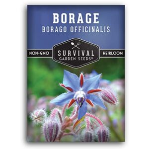 survival garden seeds – borage seed for planting – packet with instructions to plant and grow beautiful medicinal herb in your home vegetable garden – non-gmo heirloom variety – attracts pollinators