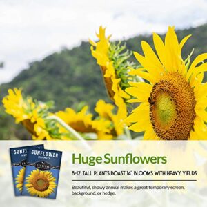 Survival Garden Seeds - Mammoth Sunflower Seed for Planting - Packet with Instructions to Plant and Grow Enormous Colorful Flowers in Your Home Flower or Vegetable Garden - Non-GMO Heirloom Variety