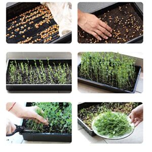 Mr. Pen- Plastic Growing Trays, 5 Pack, Black, Plant Tray, Seed Tray, Seedling Tray, Propagation Tray, Plant Trays for Seedlings, Planting Trays, Microgreens Growing Trays, Seedling Starter Trays