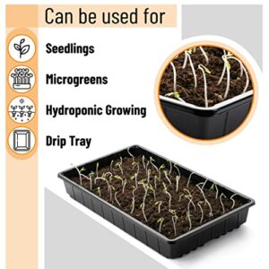 Mr. Pen- Plastic Growing Trays, 5 Pack, Black, Plant Tray, Seed Tray, Seedling Tray, Propagation Tray, Plant Trays for Seedlings, Planting Trays, Microgreens Growing Trays, Seedling Starter Trays