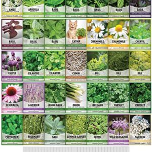 35 Herb Seeds for Planting Varieties Heirloom Non-GMO Seeds Indoors, Hydroponics, Outdoors - Basil, Lavender, Catnip, Cilantro, Oregano, Parsley, Peppermint, Rosemary and More by Gardeners Basics