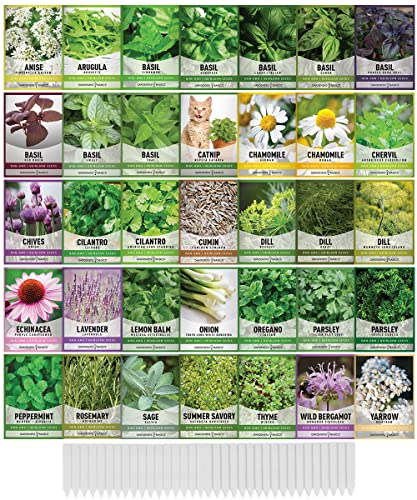 35 Herb Seeds for Planting Varieties Heirloom Non-GMO Seeds Indoors, Hydroponics, Outdoors - Basil, Lavender, Catnip, Cilantro, Oregano, Parsley, Peppermint, Rosemary and More by Gardeners Basics