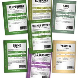 35 Herb Seeds for Planting Varieties Heirloom Non-GMO Seeds Indoors, Hydroponics, Outdoors - Basil, Lavender, Catnip, Cilantro, Oregano, Parsley, Peppermint, Rosemary and More by Gardeners Basics