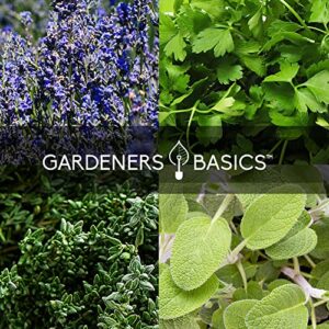 35 Herb Seeds for Planting Varieties Heirloom Non-GMO Seeds Indoors, Hydroponics, Outdoors - Basil, Lavender, Catnip, Cilantro, Oregano, Parsley, Peppermint, Rosemary and More by Gardeners Basics