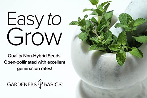 35 Herb Seeds for Planting Varieties Heirloom Non-GMO Seeds Indoors, Hydroponics, Outdoors - Basil, Lavender, Catnip, Cilantro, Oregano, Parsley, Peppermint, Rosemary and More by Gardeners Basics