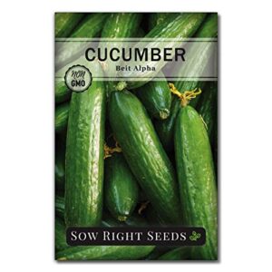sow right seeds – beit alpha cucumber seeds for planting – non-gmo heirloom seeds with instructions to plant and grow a home vegetable garden, great gardening gift (1)