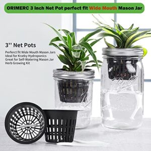 30 Pack 3 Inch Net Cup Pots with Hydroponic Self Watering Wick & Plant Labels for Aquaponics Mason Jar Insert Orchid kratky Vegetable Garden Gardening Growing Netted Baskets Slotted Mesh Wide Lip Rim