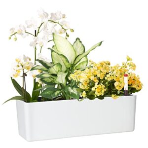 GardenBasix Elongated Self Watering Planter Pots Window Box 5.5 x 16 inch with Coconut Coir Soil Indoor Home Garden Modern Decorative Planter Pot for All House Plants Flowers Herbs 1, White 5.5" x16”