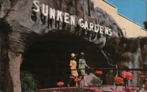 sunken gardens st. petersburg, florida fl original vintage postcard
