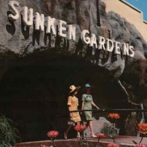 Sunken Gardens St. Petersburg, Florida FL Original Vintage Postcard