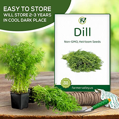 Dill Seeds for Planting Home Garden Herbs - Individual Pack of 300+ Heirloom Seeds, Suitable for Outdoors, Indoors, and Hydroponics - Non-GMO, Non-Hybrid, Untreated, and USA Grown Variety