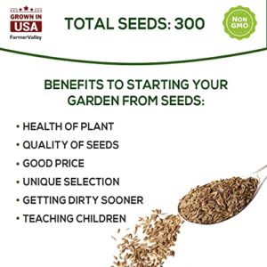 Dill Seeds for Planting Home Garden Herbs - Individual Pack of 300+ Heirloom Seeds, Suitable for Outdoors, Indoors, and Hydroponics - Non-GMO, Non-Hybrid, Untreated, and USA Grown Variety