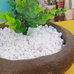 Rocks for Plants, Succulents, Fairy Garden Big 3lb Bulk Bag - 5mm Tumbled Crushed Natural White Stone Pebbles for Decorating Bonsai Trees, Zen Garden, Succulent Plants