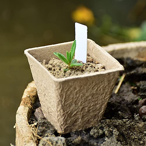 winemana 36 Set Plant Nursery Pots with Humidity Dome, Seed Starter Pots Biodegradable Peat Pots, Seedlings Planting Pots with Plant Labels for Indoor Outdoor Garden (Square)