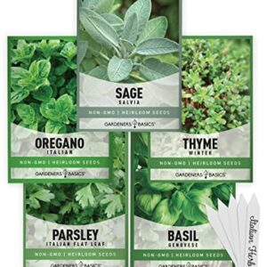 Italian Herb Seeds for Planting 5 Variety Herbs Seed Packets Including Italian Flat Leaf Parsley, Sage, Oregano, Thyme, Basil - Great for Kitchen Herb Garden, Hydroponics Heirloom - Gardners Basics