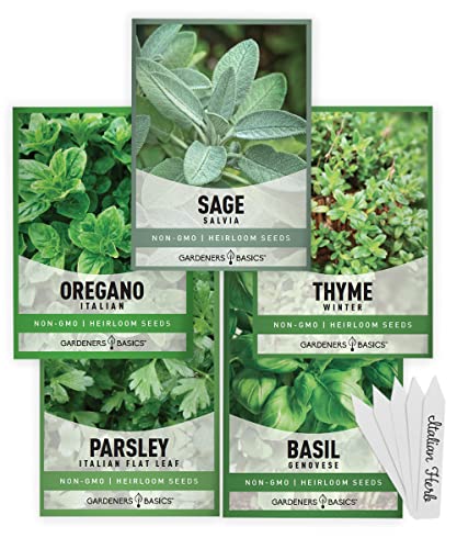 Italian Herb Seeds for Planting 5 Variety Herbs Seed Packets Including Italian Flat Leaf Parsley, Sage, Oregano, Thyme, Basil - Great for Kitchen Herb Garden, Hydroponics Heirloom - Gardners Basics