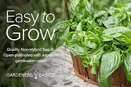 Italian Herb Seeds for Planting 5 Variety Herbs Seed Packets Including Italian Flat Leaf Parsley, Sage, Oregano, Thyme, Basil - Great for Kitchen Herb Garden, Hydroponics Heirloom - Gardners Basics