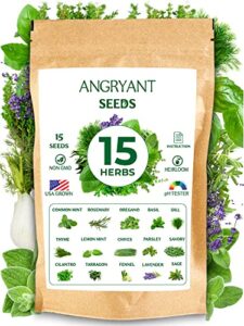 herb seeds 15 variety pack – non gmo, heirloom seeds for planting indoor, outdoor, and hydroponic medicinal garden – basil, cilantro, mint, lavender, rosemary, dill, parsley, thyme, sage, and more