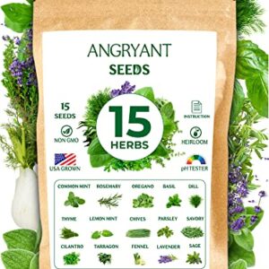 Herb Seeds 15 Variety Pack - Non GMO, Heirloom Seeds for Planting Indoor, Outdoor, and Hydroponic Medicinal Garden - Basil, Cilantro, Mint, Lavender, Rosemary, Dill, Parsley, Thyme, Sage, and More