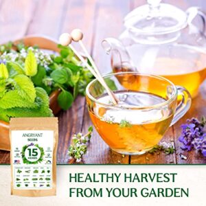 Herb Seeds 15 Variety Pack - Non GMO, Heirloom Seeds for Planting Indoor, Outdoor, and Hydroponic Medicinal Garden - Basil, Cilantro, Mint, Lavender, Rosemary, Dill, Parsley, Thyme, Sage, and More