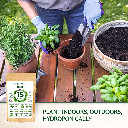 Herb Seeds 15 Variety Pack - Non GMO, Heirloom Seeds for Planting Indoor, Outdoor, and Hydroponic Medicinal Garden - Basil, Cilantro, Mint, Lavender, Rosemary, Dill, Parsley, Thyme, Sage, and More