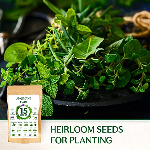 Herb Seeds 15 Variety Pack - Non GMO, Heirloom Seeds for Planting Indoor, Outdoor, and Hydroponic Medicinal Garden - Basil, Cilantro, Mint, Lavender, Rosemary, Dill, Parsley, Thyme, Sage, and More