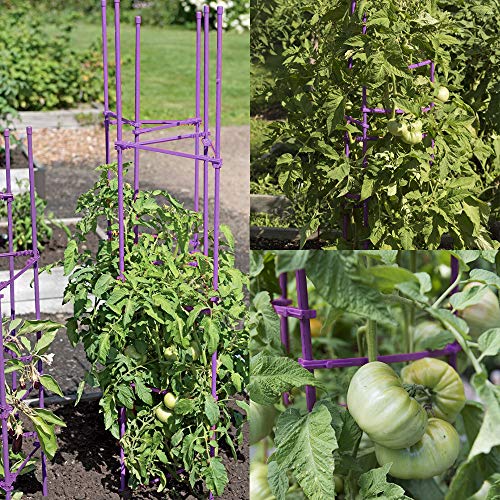 NO Splicing - 5ft Tomato Cages 5-Pack Large Tall Tomato Stakes Supports Garden Stakes,40 Clips and Plant Ties Include, Green