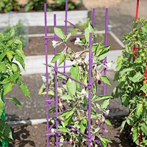 NO Splicing - 5ft Tomato Cages 5-Pack Large Tall Tomato Stakes Supports Garden Stakes,40 Clips and Plant Ties Include, Green