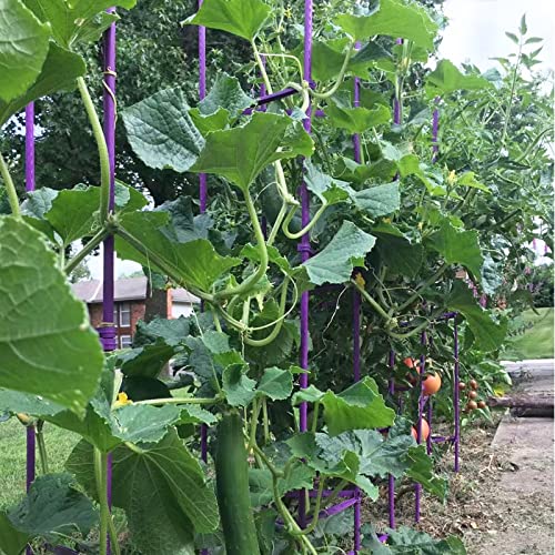 NO Splicing - 5ft Tomato Cages 5-Pack Large Tall Tomato Stakes Supports Garden Stakes,40 Clips and Plant Ties Include, Green