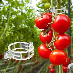 dalzom® 300pcs tomato clips, plastic trellis clips plant support clips, plant clips for support, grape vine, tomato vine, vegetables plants, garden clips to grow upright makes plants healthier