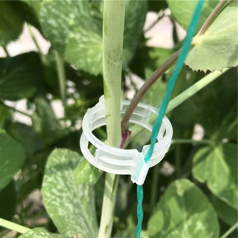 Dalzom® 300Pcs Tomato Clips, Plastic Trellis Clips Plant Support Clips, Plant Clips for Support, Grape Vine, Tomato Vine, Vegetables Plants, Garden Clips to Grow Upright Makes Plants Healthier