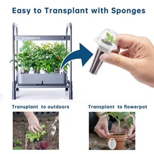 12 Set Seed Pod Kit for AeroGarden, Hydroponics Garden Accessories for Hydroponic Growing System, Grow Anything Kit with 12 Grow Sponges, 12 Grow Baskets, 12 Grow Domes,100ml Plant Food