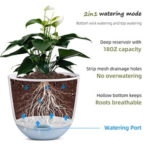 QCQHDU Plant Pots,3 Pack 8 inch Self Watering Planters High Drainage with Deep Saucer Reservoir,for Indoor & Outdoor Garden Flowers Plant Pot-White…