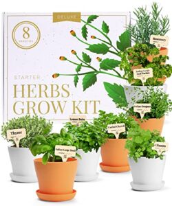 deluxe herb garden kit – unique gardening gifts for women – 8 variety culinary herb garden kit indoor & outdoor – cooking gifts for gardeners, plant gifts for mom who has everything this christmas