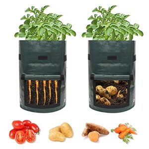 2-pack 10 gallon garden potato grow bags with flap and handles aeration fabric pots heavy duty