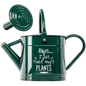 metal watering can for outdoor plants – gardening gifts for women, garden decor gifts for gardeners women, 1 gallon cute garden watering can, gardening tools for women for plant lovers