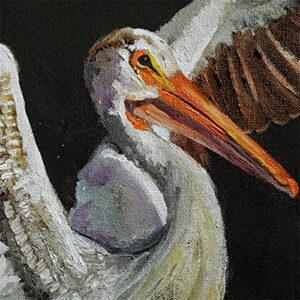 SOLD - Proud Pelicans, Seashore Birds by Internationally Renowned Painter Yary Dluhos