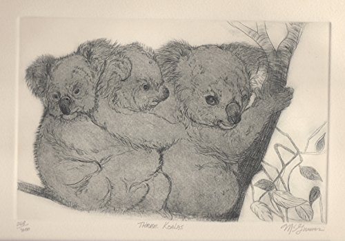 Three Koalas