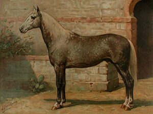 het algiersche paard [algerian horse]