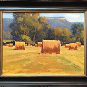 Hill Country Bales