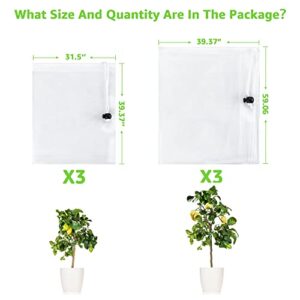 6 Packs 2 Size Insect Netting Bag, Garden Bird Barrier Mesh Covers Bags with Drawstring, Bug Netting Plant Protection Covers Bags for Blueberry Tomato Vegetable Form Cicadas Bird Squirrels Eating