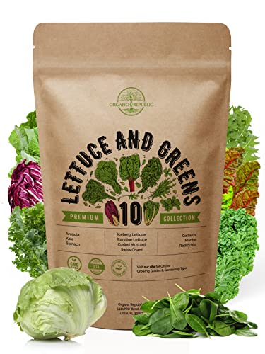 10 Lettuce & Salad Greens Seeds Variety Pack 4800+ Non-GMO Heirloom Lettuce Seeds for Planting Indoors & Outdoors Garden, Hydroponics - Arugula, Radicchio, Kale, Spinach, Swiss Chard, Lettuce & More